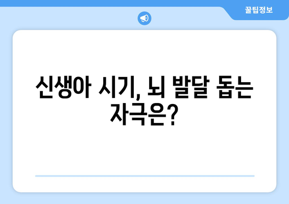 영유아 발달 단계 각 시기에 필요한 자극