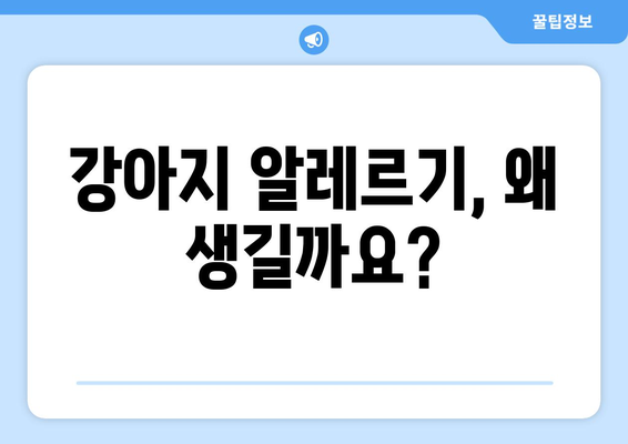 강아지 알러지 반응 원인과 해결법