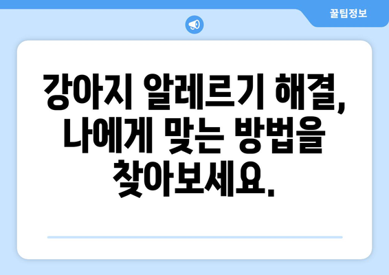 강아지 알러지 반응 원인과 해결법