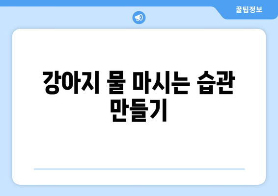 강아지가 충분히 물을 마시게 하는 요령