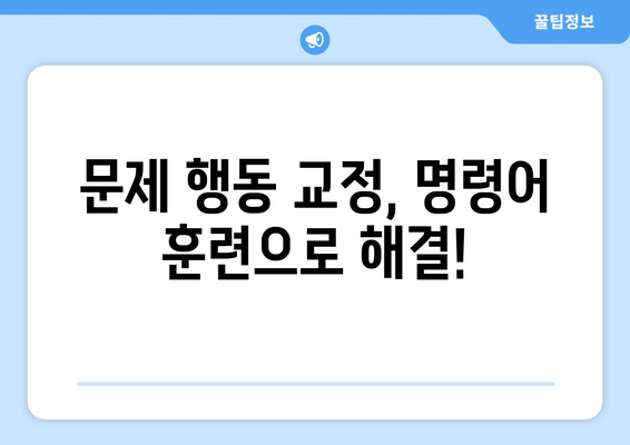 꼭 필요한 강아지 훈련 명령어 모음