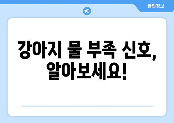 강아지가 충분히 물을 마시게 하는 요령