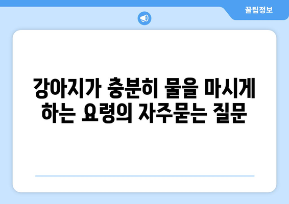 강아지가 충분히 물을 마시게 하는 요령