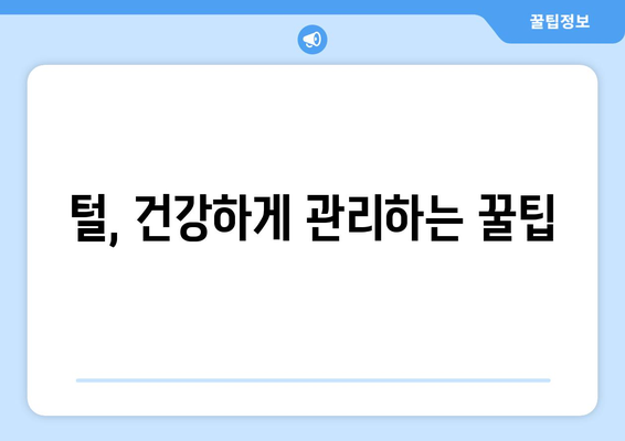 털 관리 잘하는 법 강아지를 위해 알아두기