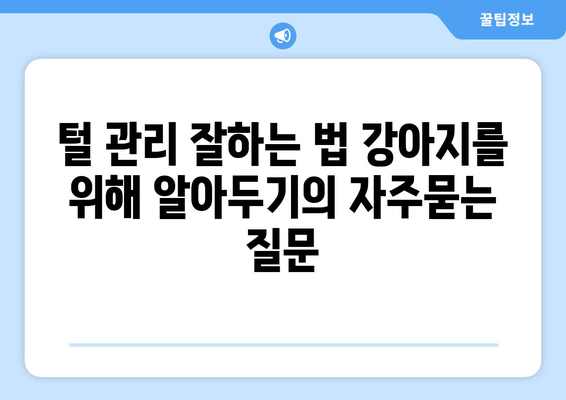 털 관리 잘하는 법 강아지를 위해 알아두기