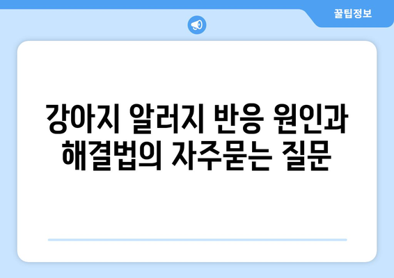 강아지 알러지 반응 원인과 해결법