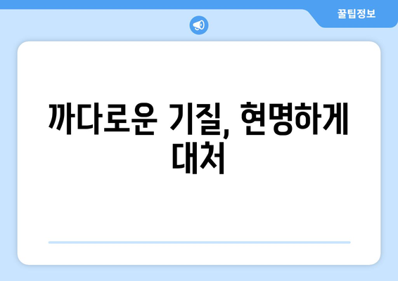 아이의 기질별 육아 방법과 대처법