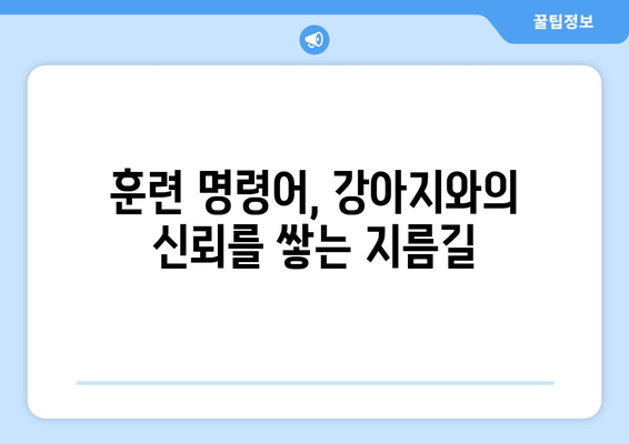 꼭 필요한 강아지 훈련 명령어 모음